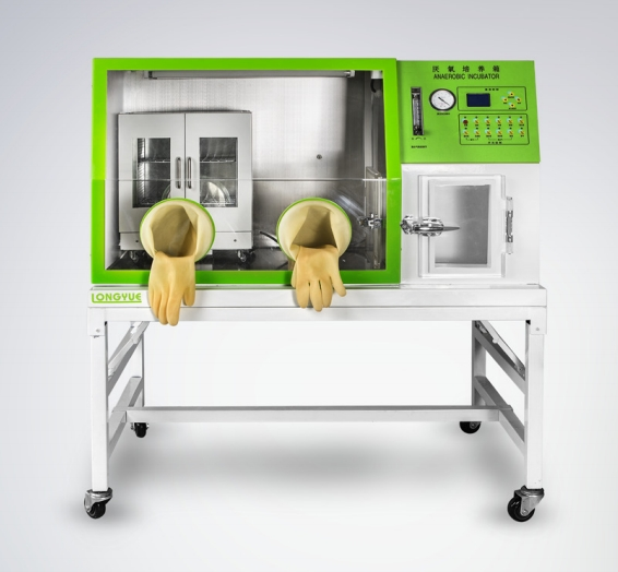  Lab Glove Box‌ Microbiological Incubator Anaerobic Incubator
